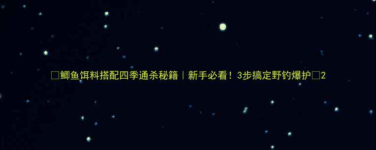 图片 🌟鲫鱼饵料搭配四季通杀秘籍｜新手必看！3步搞定野钓爆护🌟2