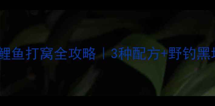 图片 🌾玉米面钓鲤鱼打窝全攻略｜3种配方+野钓黑坑通用技巧2