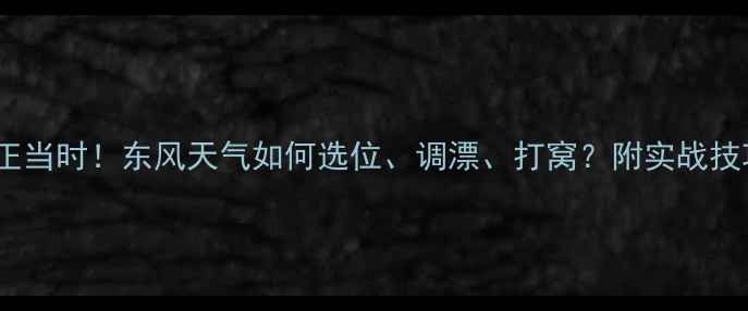 图片 🌾秋季钓鱼正当时！东风天气如何选位、调漂、打窝？附实战技巧+避坑指南