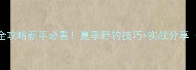 图片 🌾肥西野钓全攻略新手必看！夏季野钓技巧+实战分享（附钓位图）