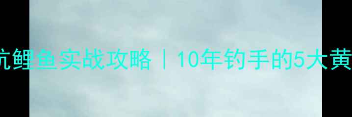 图片 🍂秋冬黑坑鲤鱼实战攻略｜10年钓手的5大黄金定律🎣1