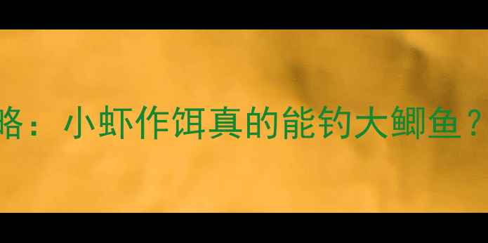 图片 🎣南方水域钓鱼攻略：小虾作饵真的能钓大鲫鱼？新手必看实战技巧