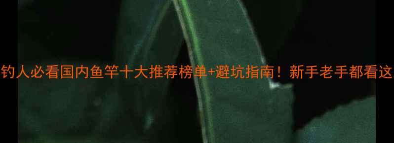 图片 🎣垂钓人必看国内鱼竿十大推荐榜单+避坑指南！新手老手都看这篇🔥