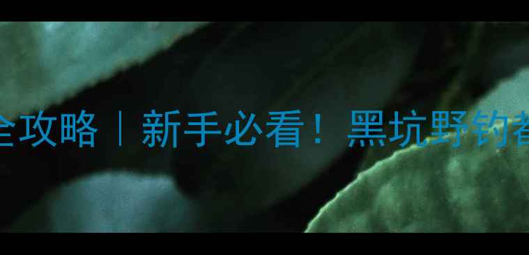 图片 🎣小麦饵料钓大鱼全攻略｜新手必看！黑坑野钓都能爆护的黄金配方