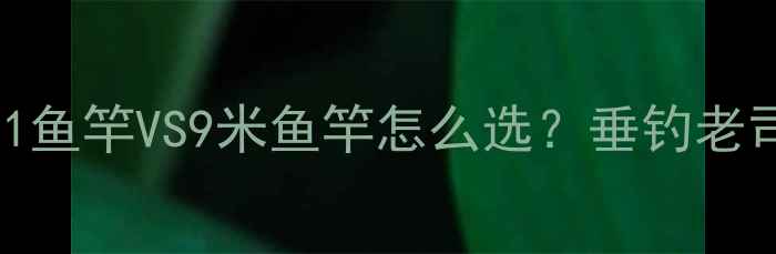 图片 🎣新手必看！8米1鱼竿VS9米鱼竿怎么选？垂钓老司机亲测对比攻略