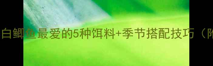 图片 🎣新手必看！白鲫鱼最爱的5种饵料+季节搭配技巧（附实战教学）1