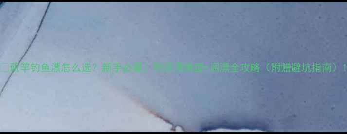 图片 🎣矶竿钓鱼漂怎么选？新手必看！附浮漂类型+调漂全攻略（附赠避坑指南）1