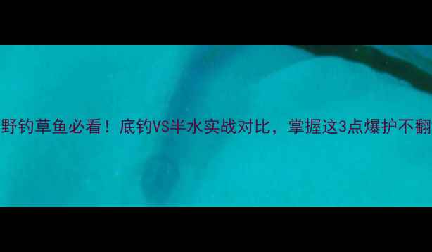 图片 🎣野钓草鱼必看！底钓VS半水实战对比，掌握这3点爆护不翻车