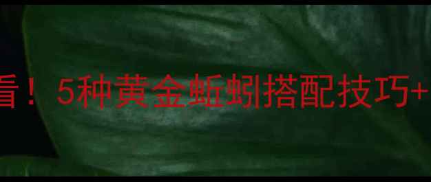 图片 🎣钓鲫鱼蚯蚓怎么选？新手必看！5种黄金蚯蚓搭配技巧+实战教学，大板鲫疯狂上钩✅2