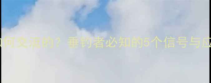 图片 🎣鲤鱼是如何交流的？垂钓者必知的5个信号与应对策略🎣2