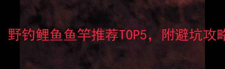 图片 💪新手必看！野钓鲤鱼鱼竿推荐TOP5，附避坑攻略+搭配技巧1