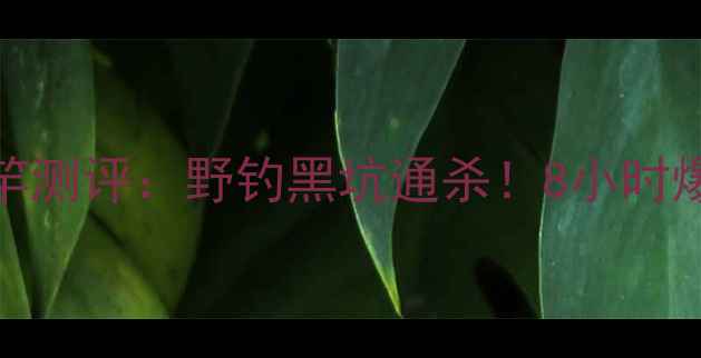 图片 🔥markgold鱼竿测评：野钓黑坑通杀！8小时爆护实测报告🔥