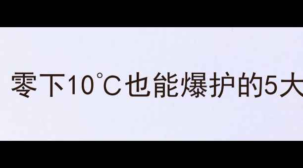 图片 🔥冬季夜钓全攻略：零下10℃也能爆护的5大秘诀｜新手必看！2