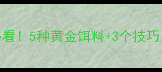图片 🔥夏天钓鲤鱼必看！5种黄金饵料+3个技巧，爆护不是梦！
