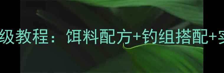 图片 🔥夏季黑坑钓草鱼保姆级教程：饵料配方+钓组搭配+实战技巧，新手必看！2