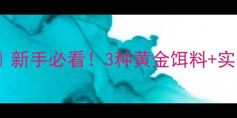 图片 🔥大河夜钓鲶鱼攻略｜新手必看！3种黄金饵料+实战技巧，一网打尽！1