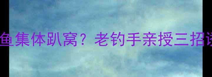 图片 🔥天气40℃爆表！鲤鱼集体趴窝？老钓手亲授三招诱鱼秘籍（附配方）1