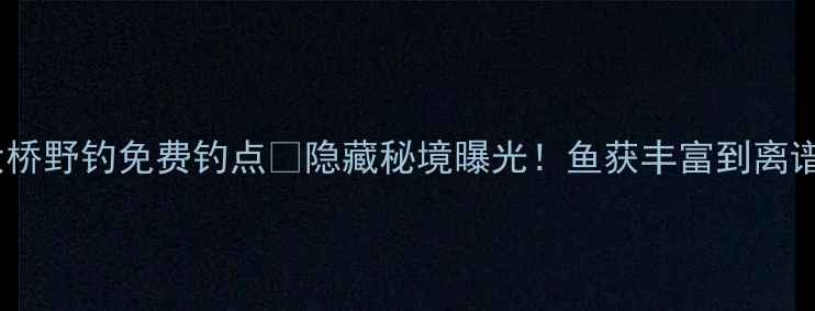 图片 🔥安庆皖河大桥野钓免费钓点🔥隐藏秘境曝光！鱼获丰富到离谱的野钓攻略1