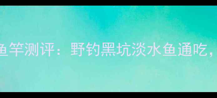 图片 🔥富源百川六号雨战神鱼竿测评：野钓黑坑淡水鱼通吃，百元档位性价比之王✅