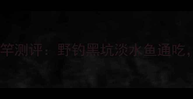图片 🔥富源百川六号雨战神鱼竿测评：野钓黑坑淡水鱼通吃，百元档位性价比之王✅1