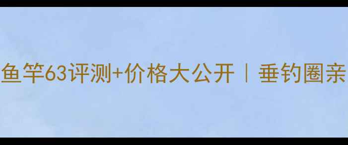 图片 🔥必入款！飞鲨鱼竿63评测+价格大公开｜垂钓圈亲测值不值500+？