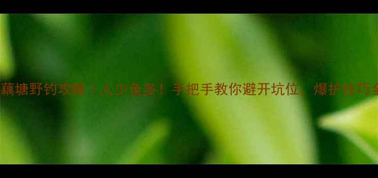 图片 🔥无锡野藕塘野钓攻略｜人少鱼多！手把手教你避开坑位，爆护技巧全公开！1