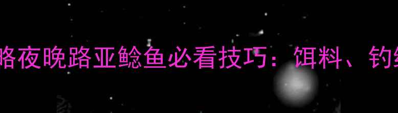 图片 🔥深夜爆护攻略夜晚路亚鲶鱼必看技巧：饵料、钓组、打法全！1