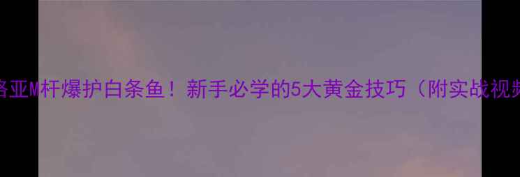 图片 🔥路亚M杆爆护白条鱼！新手必学的5大黄金技巧（附实战视频）