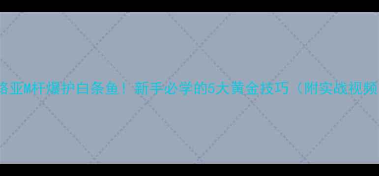 图片 🔥路亚M杆爆护白条鱼！新手必学的5大黄金技巧（附实战视频）1
