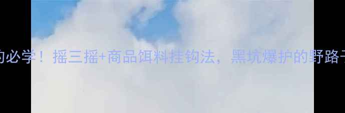 图片 🔥野钓必学！摇三摇+商品饵料挂钩法，黑坑爆护的野路子技巧