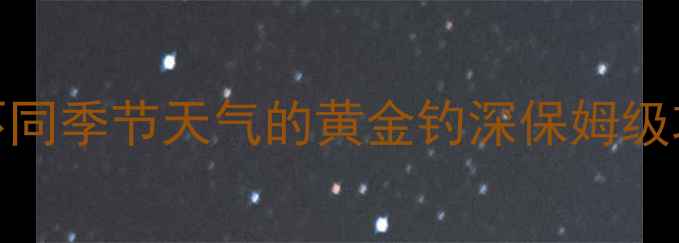 图片 🔥野钓鲮鱼必看！不同季节天气的黄金钓深保姆级攻略（附调漂技巧）