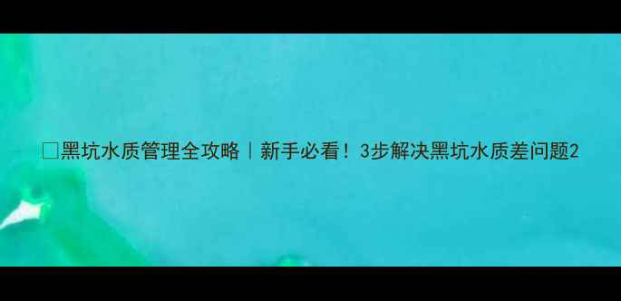 图片 🔥黑坑水质管理全攻略｜新手必看！3步解决黑坑水质差问题2