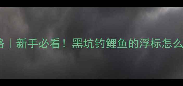 图片 🔥黑坑钓鲤鱼浮标全攻略｜新手必看！黑坑钓鲤鱼的浮标怎么选？附保姆级调漂技巧1
